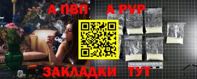 тгк Кингисепп