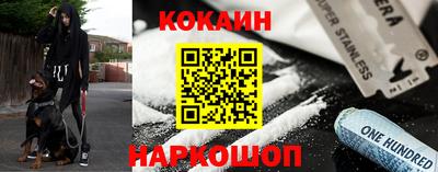 тгк Кингисепп