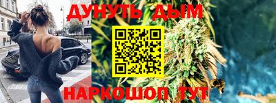 тгк Кингисепп