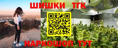 тгк Кингисепп