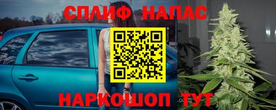 spice Кимры