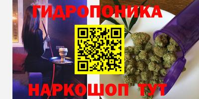 тгк Кингисепп