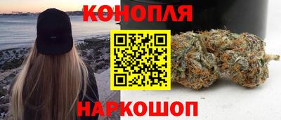 тгк Кингисепп