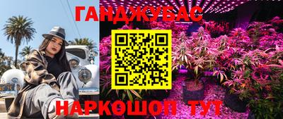 тгк Кингисепп